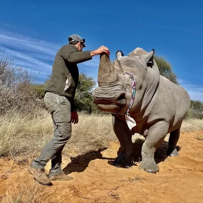 Joel Alves | Wildlife Veterinarian ๐พ profile
