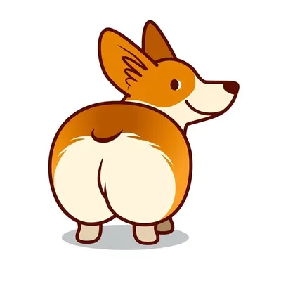 Viral corgi videos and pics🐶 profile