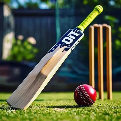 _CRICKET_LOVER_16_56_ profile