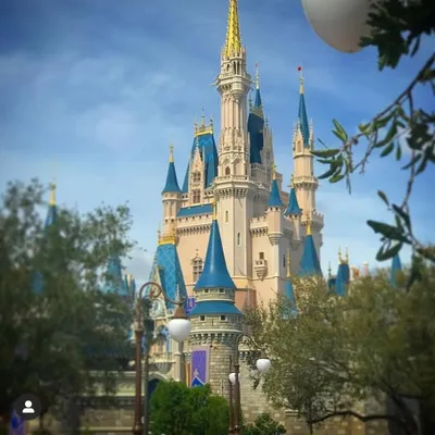 The Disney Lens profile