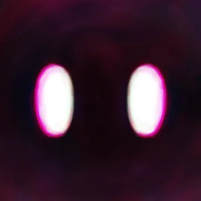 DRAGONizm profile