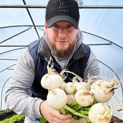 The Essex Allotment - Farm profile