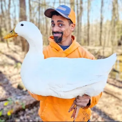 Mike Dickson profile