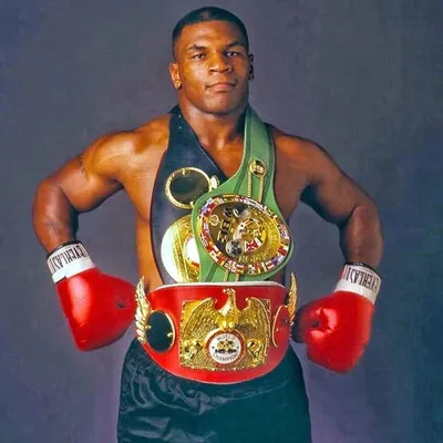 The Greatest Boxers profile