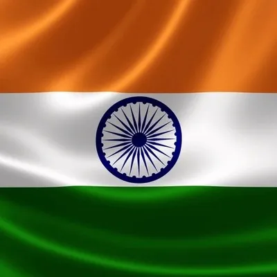 ɪɴᴅɪᴀɴ ꜰᴏʀᴄᴇꜱ ♥️🇮🇳 profile