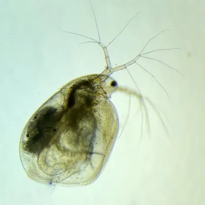Inquisitive Biochemist ๐จโ๐ฌ๐ฌ profile