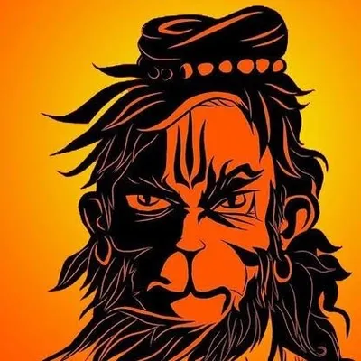 Sanātanī profile
