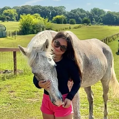 ๐ The Little Equestrian profile
