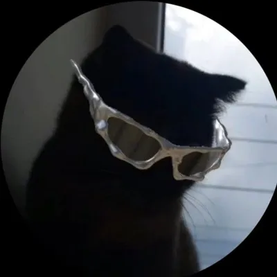 ๐๐๐๐๐๐๐-๐๐ผ๐๐ผ๐ ๏ฃฟ profile