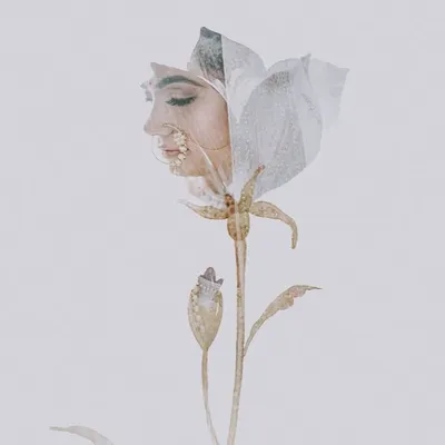 THE MEMORY WEAVERS profile