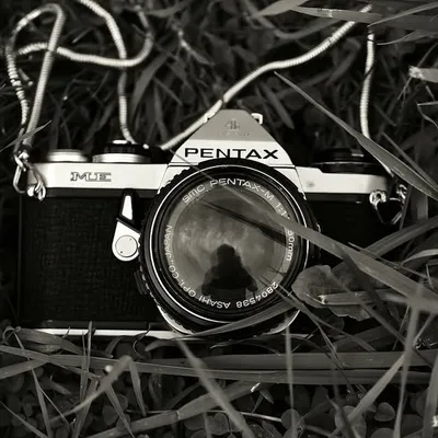 santarsierophotography profile