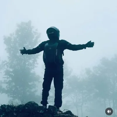 Vishnu profile