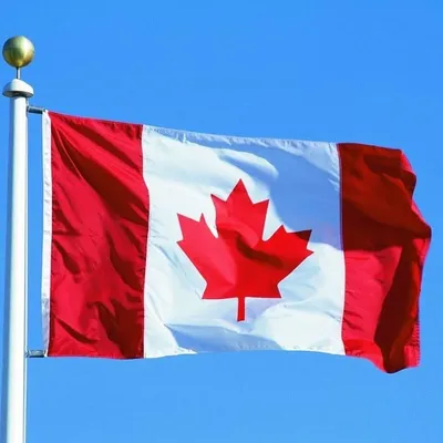 BRAMPTON PIND ๐จ๐ฆ profile