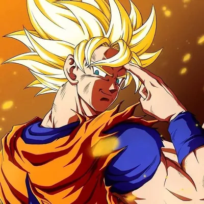 Ranger Goku profile
