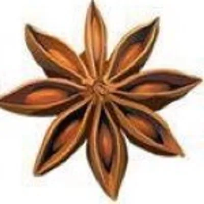 The Spice Circuit Tours profile