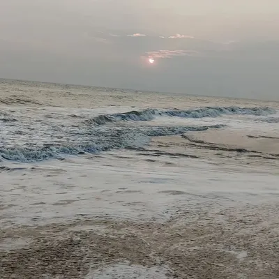 Traveling🌅🏖️ profile