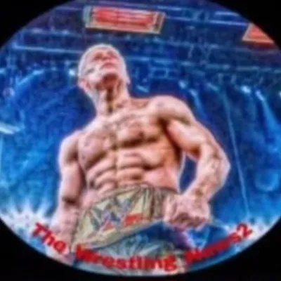 The_Wrestling_News2 profile