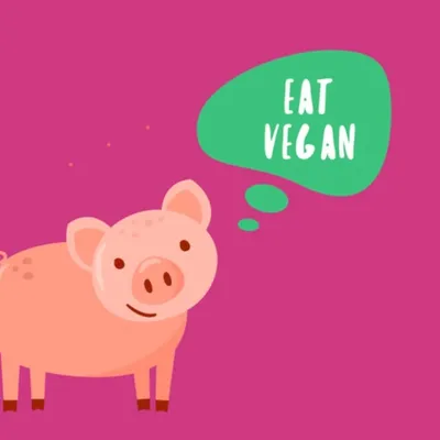 ๐ฟ The All Vegan profile