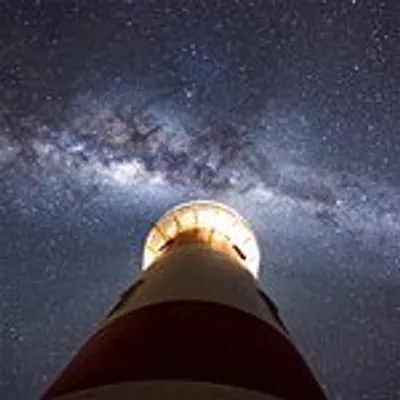 Mark Gee profile