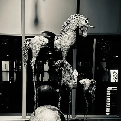 profile