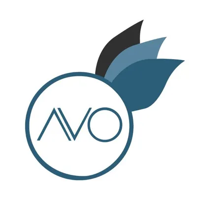 AVO INNOVATION TECHNOLOGY profile