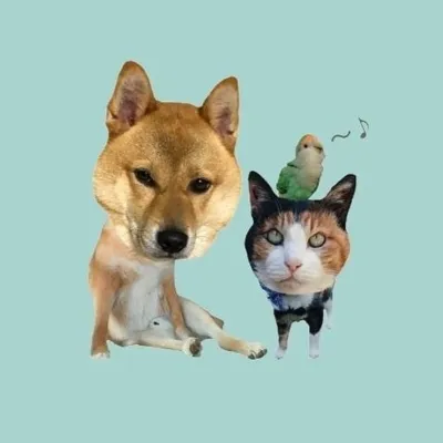 ๐ฐ๐
๐ฐ๐บ๐พ profile