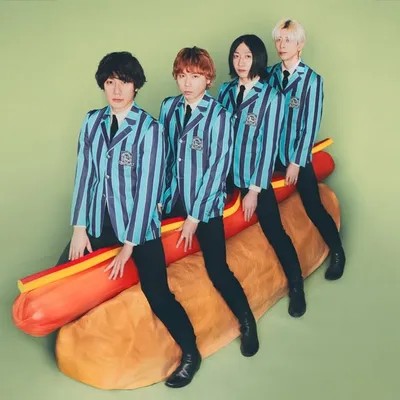 THE BAWDIES profile
