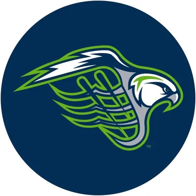 Chesapeake Bayhawks profile