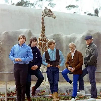 The Beach Boys profile