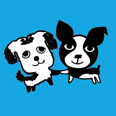dog ice cream & meal kits & cakes🍦🐶 profile