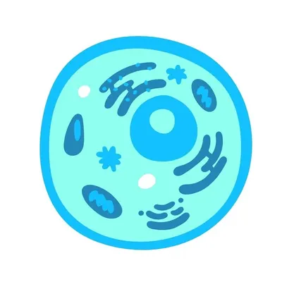 The Bio Bloom profile