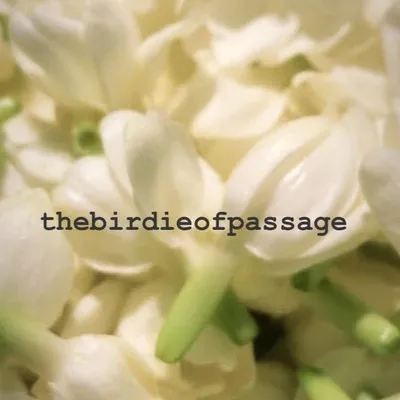 _thebirdieofpassage_ profile