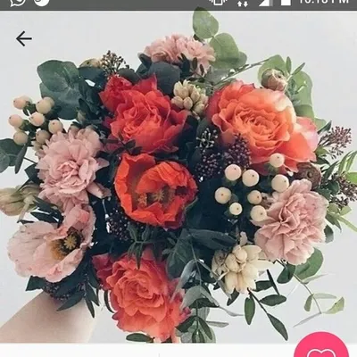 The Bloom Room profile