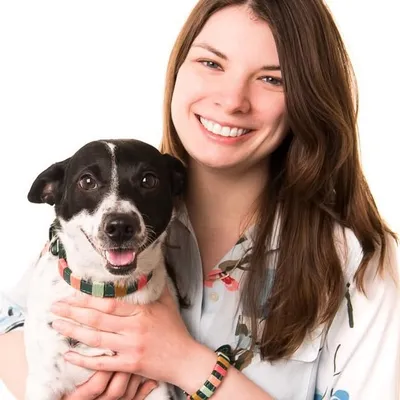 The Broke Dog Blog profile