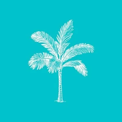 Tour Agency | Clearboat Tour profile