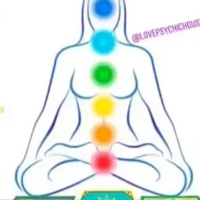 Budha Quotes✨ profile