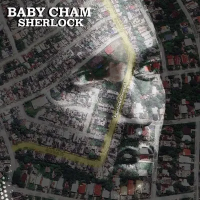 Baby Cham profile