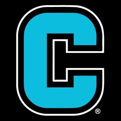 The Chestee® profile