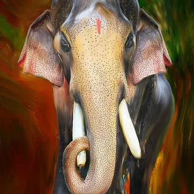 Thechikottukavu Ramachandran profile
