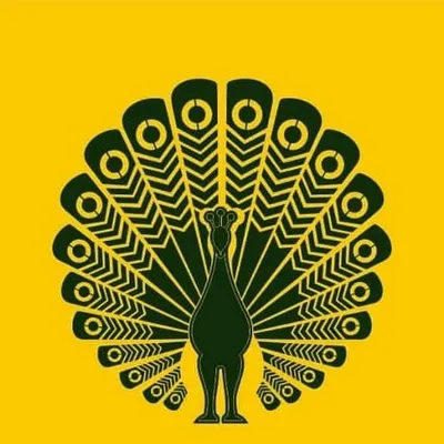 thecholistore profile