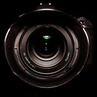 The Shutter Bug🐞 profile