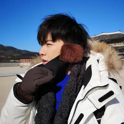 NANN profile