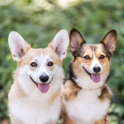 kono & alfie profile