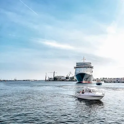 THECRUISEFRIEND ⚓ profile