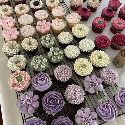 The Cupcake Sensation profile