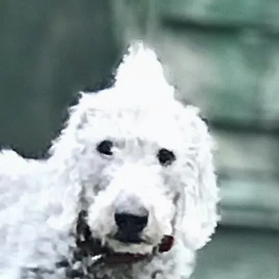 Sherlock profile