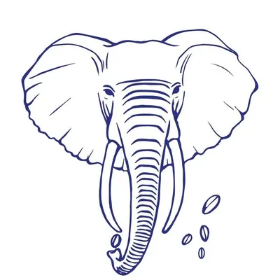 The Elephant Coffee profile