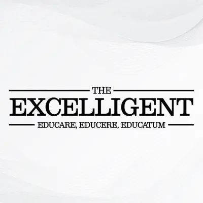 The Excelligent profile