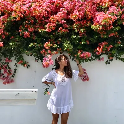 Fajer Hayat profile