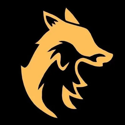 Parkour • Freerun • Flips profile